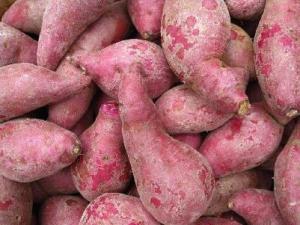 紫薯的營養價值-紫薯的功效與作用