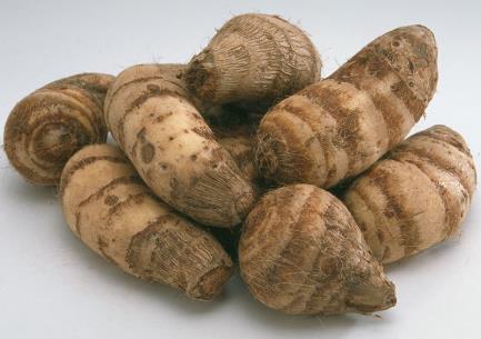 ���^�ĠI(y��ng)�B(y��ng)�r(ji��)ֵ-���^�Ĺ�Ч�c����