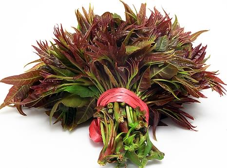 ���㴻�Æ᣿�㴻�ĠI�B�rֵ