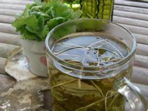 蒲公英泡水喝好嗎?蒲公英泡水喝的功效