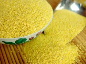 吃小米有什么好處？小米的營養價值、功效與作用