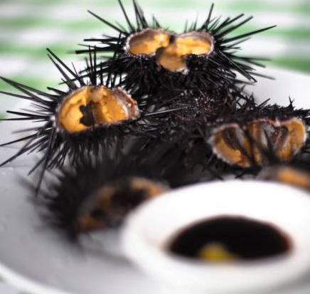 海膽的營養價值-海膽的種類有哪些?