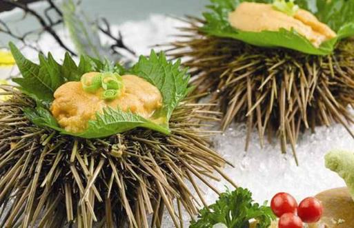 海膽的營養價值-海膽的種類有哪些?