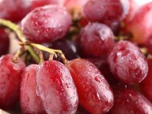 ���ӵĠI�B(y��ng)�rֵ ���ӵĹ�Ч�c���� ����Ƥ�Ĺ�Ч�c����