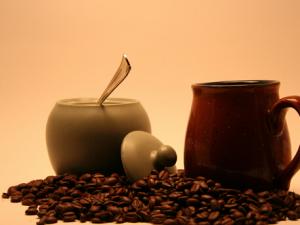 咖啡豆怎么煮？咖啡豆的種類