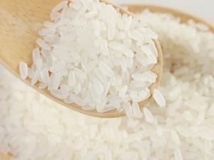 大米生蟲的處理方法-預防大米生蟲的方法