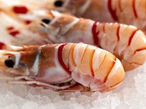 食材保鮮解凍技巧-讓營養更和美味更優質