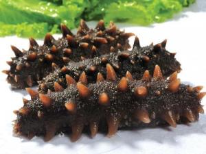 海參怎么泡發？泡發海參的方法