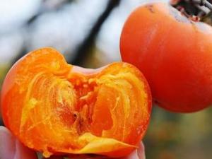 怎么吃柿子不沾手？巧吃柿子不沾手的方法