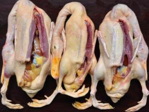 如何鑒別鴨肉是否鮮嫩？鑒別鴨肉老嫩的技巧