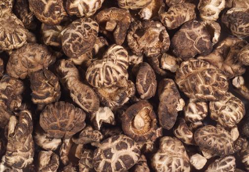 ��Ģ��Ҫ�ݶ�ã���Ģ���ݰl��С�[�T