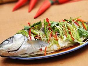 草魚怎么做好吃？怎么燉草魚好吃