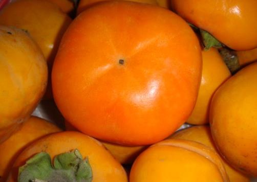 ����̫����ô�k�����������ȥ��