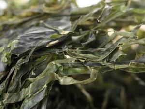 干海帶泡發(fā),干海帶要泡多久,怎樣泡發(fā)干海帶