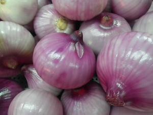 如何挑選健康的洋蔥？洋蔥的選購方法