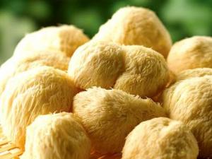 如何泡發猴頭菇？猴頭菇的泡發小竅門