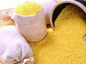 怎么鑒別小米的真假？如何識別染色小米