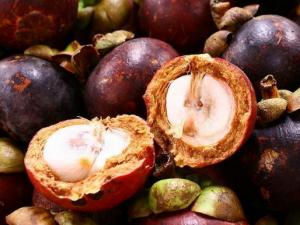 ɽ�������S�S����ʲô ɽ�������S�S���ܳԆ� ɽ�����l(f��)�S�ж���