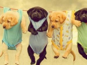 霧霾天能曬衣服嗎？霧霾天注意事項(xiàng)