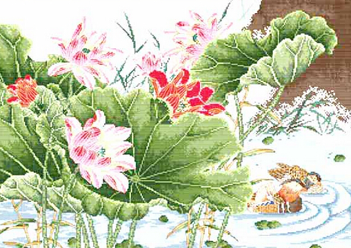 ʮ���C��ô�C��ʮ���C���C��