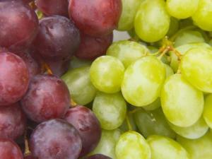 如何分辨提子和葡萄？提子與葡萄的區別