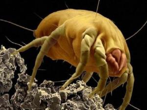 �����Ч�����x��ȥ�����x����Ч�ķ�������