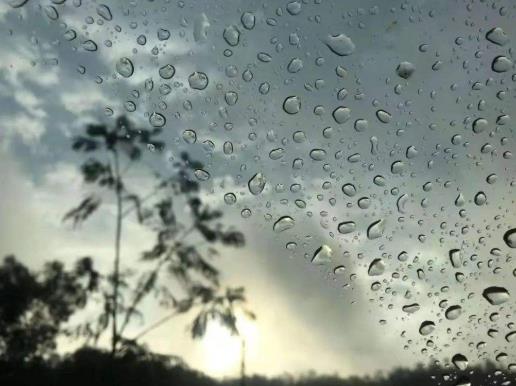 深圳的回南天怎么應對?深圳有回南天嗎