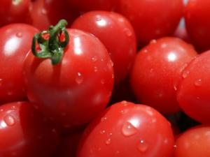 寶寶能吃圣女果嗎?寶寶吃圣女果的做法