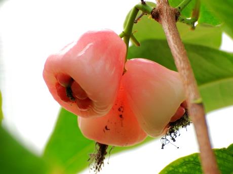 �ЋD�ܳ�ˮ���҆᣿�ЋD��ˮ������ʲô��̎