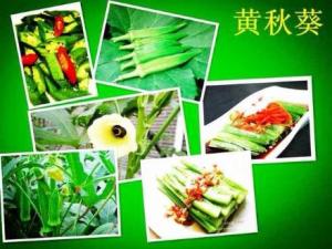 孕婦能吃黃秋葵嗎？孕婦吃黃秋葵有什么好處