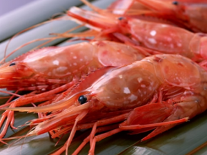 草蝦怎么做好吃？草蝦的營(yíng)養(yǎng)價(jià)值