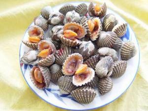 泥蚶怎么做?泥蚶的做法-泥蚶的營養價值