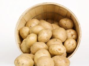 土豆到底是減肥食品還是致胖食品？