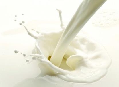 ţ��ʲô�r�����ã�ʲô�˲��ܺ�ţ��