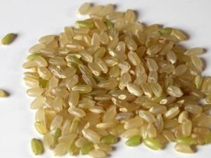 如何挑選糙米？吃糙米的食用禁忌