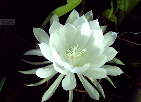 �һ���(du��)�Ҿӭh(hu��n)����Ӱ�-�һ����L(f��ng)ˮ�W(xu��)��(y��ng)��