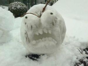 奇葩是什么意思?網絡用語奇葩男女是什么意思