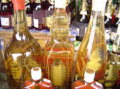 喝藥酒的注意事項-喝藥酒有什么禁忌