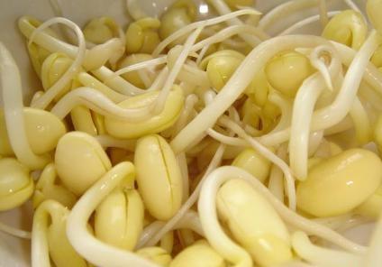 吃黃豆芽好嗎？黃豆芽的營養(yǎng)價值、功效與作用