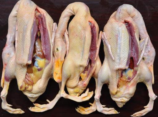 如何鑒別鴨肉是否鮮嫩？鑒別鴨肉老嫩的技巧
