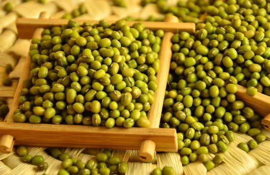 怎樣識(shí)別綠豆的好壞？如何挑選優(yōu)質(zhì)綠豆