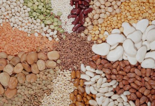 如何選購豆類食品？選購豆類食品的注意事項(xiàng)