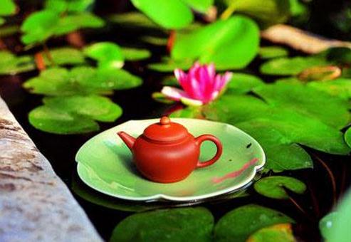 怎么喝荷葉茶才能健康減肥？