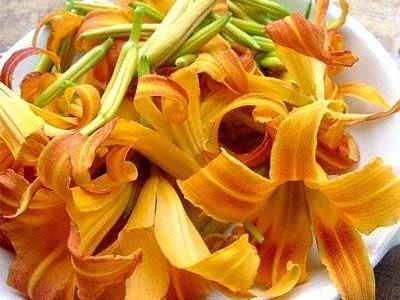 如何預防鮮黃花菜中毒?鮮黃花菜的制作方法,黃花菜的營養價值