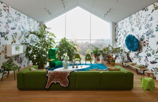 裝修后如何除甲醛？除甲醛最有效方法及吸甲醛的植物