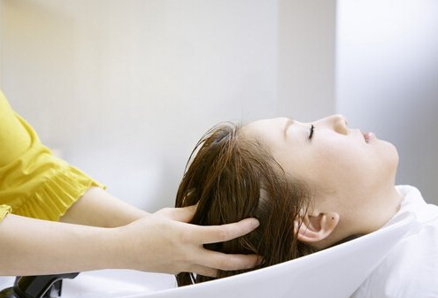 如何用側柏葉洗頭？側柏葉對脫發的功效