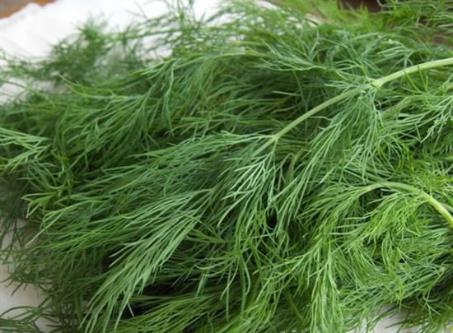 最高鈉蔬菜：茴香、芹菜、茼蒿，不用放鹽。