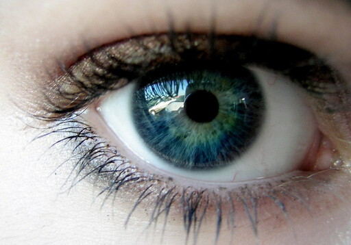 什么是假性近視？辨別真性近視與假性近視