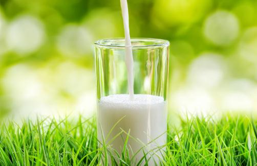 牛奶越濃就越好？喝牛奶易犯的誤區(qū)