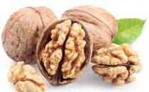 該怎樣治療和預防大腦萎縮